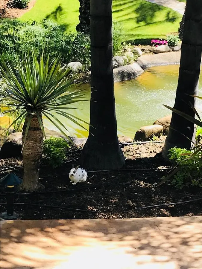 Lomas Del Rey Apartment Marbella